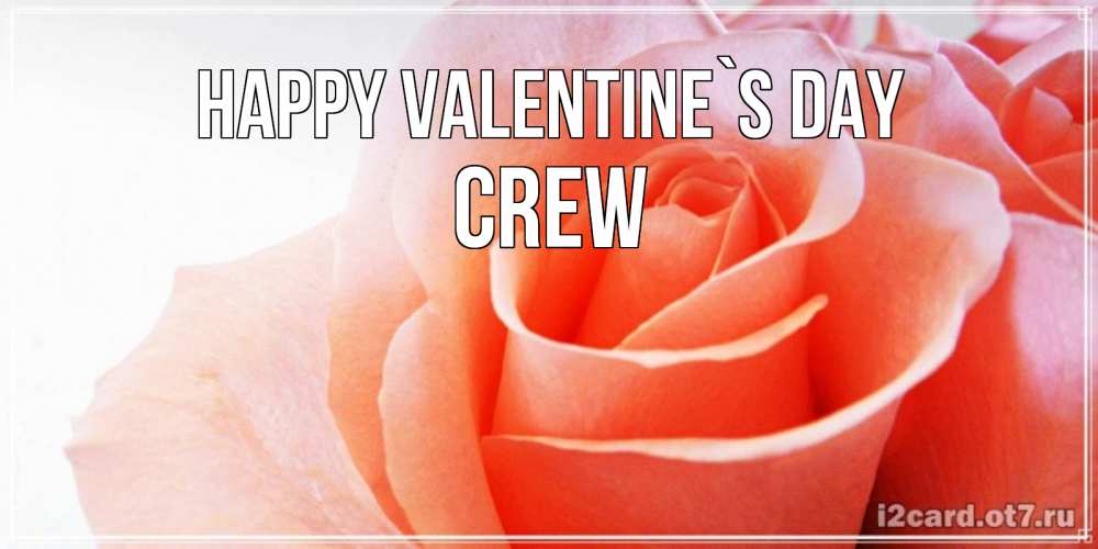 Greetings card с именем, Crew Happy Valentine`s Day открытка на день Святого Валентина с розовой розой Greetings with text for free download 